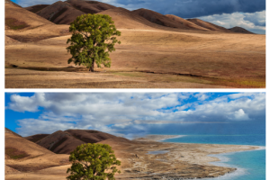 Работа 3723676