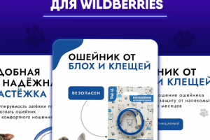 Инфографика для Wildberries