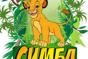 Текст в стихах для аудио ролика