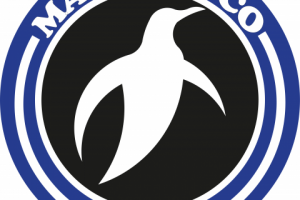 Логотип для кофейни "Magniffico" (золотое сечение)