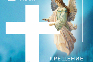 Работа 3803117