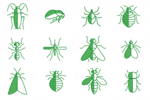 Иконки для сайта