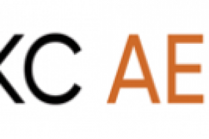 флеш баннер АЕСП