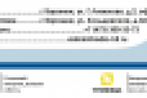 Шапка фир. бланка