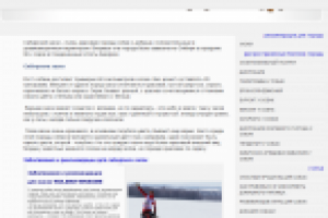 Сибирский хаски