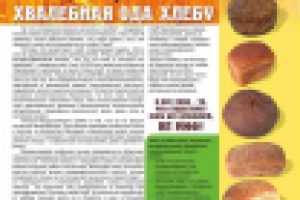 Работа 2159175