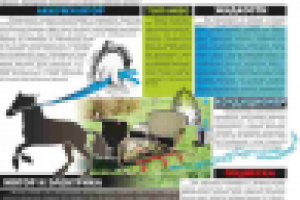 Работа 1810709