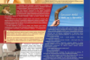 Работа 1602831