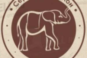 Текст к ролику