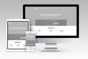 Прототип - ChinaExpert