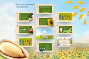 Презентация