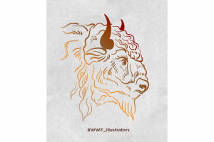 Работа 3713421