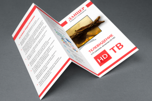 Работа 3489885