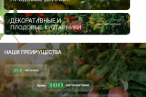 Интернет-магазин по продаже растений