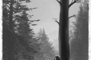 Иллюстрация к книге Д. Фостера "На разных берегах"