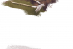 Иллюстрация к детской книге