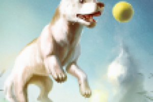 собака-подпрыгака