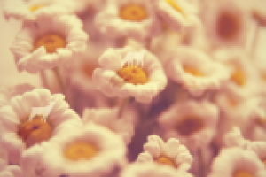 Работа 1707852