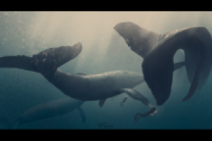 Экспедиция