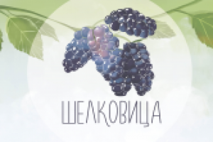 Работа 2875107