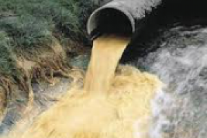 Бизнес-план цеха переработки послеспиртовой барды