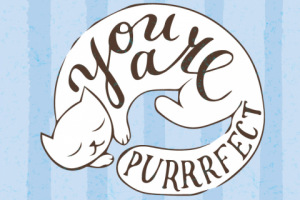 Открытка You are purrrfect