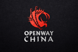 Работа 3587334