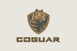 Работа 3587327