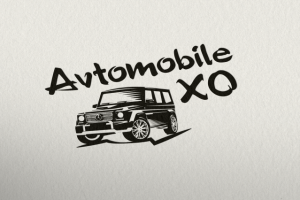 Работа 3357608