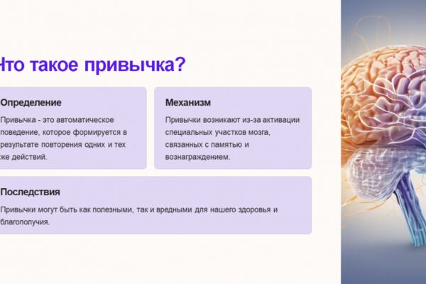img4583246.png