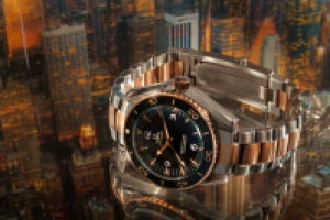 Работа 2704863