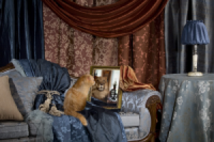 Рекламная фотосъемка на обложку календаря.