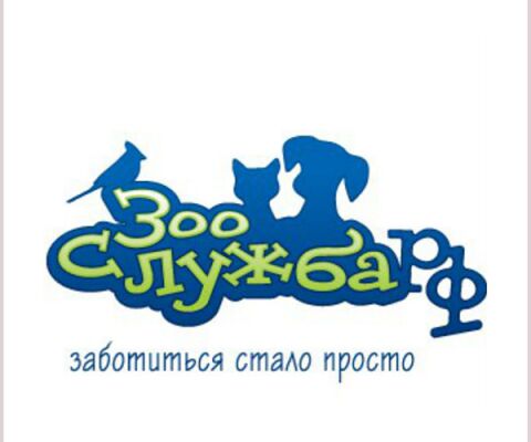 img3242149.png