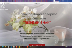 профессиональная личная страница вк с демонстрацией компетенций