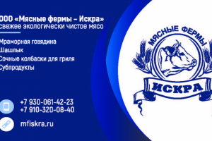 Визитка Искра