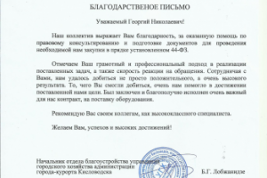 Организация и проведение закупки по 44-ФЗ для Заказчика