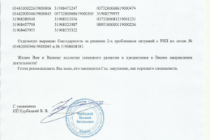 Тендерное сопровождение Поставщиков и защита от РНП