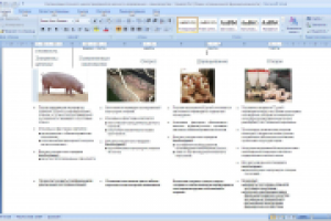 Бизнес-план Свиноводство