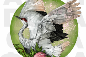 Иллюстрация для книги " Тотемные животные"