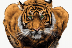 Работа 3026380