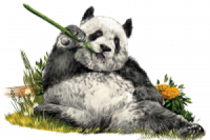 Работа 3026450