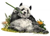 img3026450.png