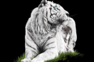 Работа 3026461