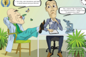 Работа 3026462