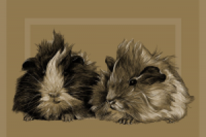 Работа 2830406