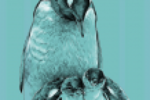 Работа 2774952