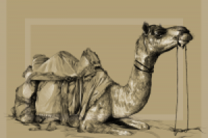 Работа 2774925