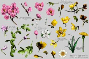 Ботаника, Набор. Вектор