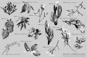 Ботаника, Набор. Вектор