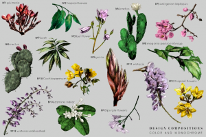 Ботаника, Набор. Вектор